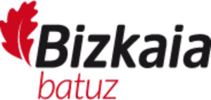Proyecto Batuz y TicketBAI Bizkaia